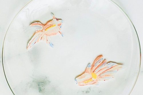 シュールデコール　銀座　金魚 (1)
